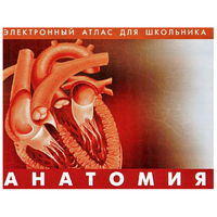 Анатомия. (Цифровой атлас школьника) - «globural.ru» - Воркута