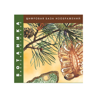 Ботаника. Микрофотографии. (Цифровая база изображений) - «globural.ru» - Воркута