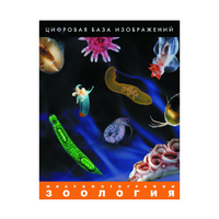 Зоология. Микрофотографии. (Цифровая база изображений) - «globural.ru» - Воркута