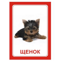 Логопедка "Щ, Х" (логопедические карточки) - «globural.ru» - Воркута