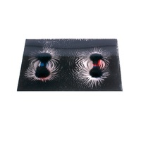 Набор «Эксперименты с магнитным полем» - «globural.ru» - Воркута