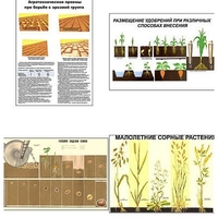 Плакаты ПРОФТЕХ "Агрономия" (5 пл, винил, 70х100) - «globural.ru» - Воркута