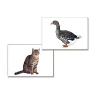 Дидактическое пособие "Домашние животные" (24 карточки, А4, ламинированное) - «globural.ru» - Воркута