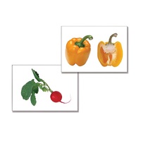 Дидактическое пособие "Овощи" (24 карточки, А4, ламинированное) - «globural.ru» - Воркута