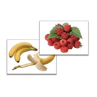 Дидактическое пособие "Фрукты, ягоды, орехи" (24 карточки, А4, ламинированные) - «globural.ru» - Воркута