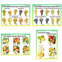 Плакаты ПРОФТЕХ "Ассортимент плодово-ягодных культур" (19 пл, винил, 70х100) - «globural.ru» - Воркута