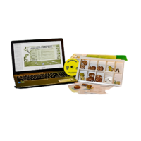 Коллекция натурально-интерактивная "Палеонтологическая" - «globural.ru» - Воркута