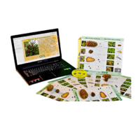 Коллекция натурально-интерактивная "Шишки, плоды, семена деревьев и кустарников" - «globural.ru» - Воркута