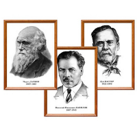 Портреты выдающихся биологов, комплект 8 шт - «globural.ru» - Воркута