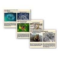 Комплект таблиц раздаточных "Ядовитые животные" - «globural.ru» - Воркута