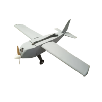 Профессиональная БАС самолетного типа с ДВС - «globural.ru» - Воркута