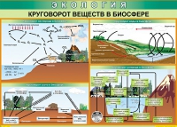 Таблица Круговорот веществ в биосфере 1000*700 винил - «globural.ru» - Воркута