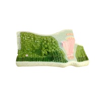 Модель Строение листа - «globural.ru» - Воркута