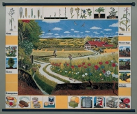 Магнитный плакат "Природное сообщество поля" - «globural.ru» - Воркута