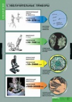 Биология. Вещества растений, клеточное строение (комплект таблиц) - «globural.ru» - Воркута
