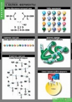 Биология. Химия клетки (комплект таблиц) - «globural.ru» - Воркута