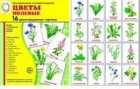 Демонстрационные карточки "Цветы полевые" - «globural.ru» - Воркута