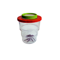 Коробка для изучения насекомых с лупой (вариант 2) - «globural.ru» - Воркута