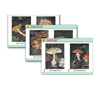 Комплект таблиц раздаточных "Грибы съедобные и несъедобные" - «globural.ru» - Воркута