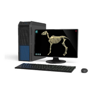 Макет масштабный «Скелет Лошади» Масштаб 1:2 - «globural.ru» - Воркута