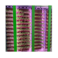 Вертикальная ферма "Моя Микрозелень" комплектация Школьная - «globural.ru» - Воркута