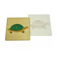 Строение черепахи с контуром - «globural.ru» - Воркута