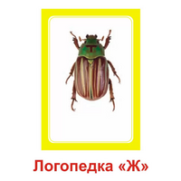 Логопедка "Ж" (логопедические карточки) - «globural.ru» - Воркута