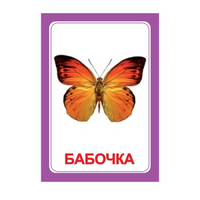 Логопедка "Ч" (логопедические карточки) - «globural.ru» - Воркута