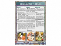 Стенд "Белки. Жиры. Углеводы" - «globural.ru» - Воркута