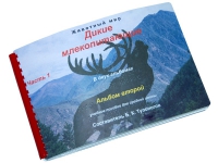 Пособие для слабовидящих "Дикие млекопитающие" - «globural.ru» - Воркута