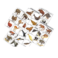 Комплект таблиц по зоологии раздаточных "Разнообразие животных. Млекопитающие." (цвет.,лам., формат А4, 16 штук) - «globural.ru» - Воркута