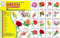 Демонстрационные карточки "Цветы садовые" - «globural.ru» - Воркута