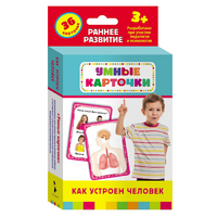 Карточки Домана "Как устроен человек" - «globural.ru» - Воркута