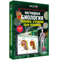 Наглядная биология. Человек. Строение тела человека - «globural.ru» - Воркута