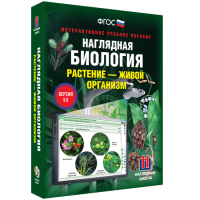 Наглядная биология. Растение - живой организм - «globural.ru» - Воркута