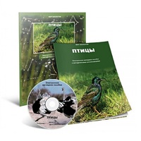 Электронное наглядное пособие «Птицы» - «globural.ru» - Воркута