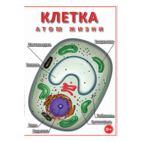 DVD Клетка - "атом жизни" - «globural.ru» - Воркута