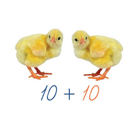 Счетный материал на магнитах "Цыплята". - «globural.ru» - Воркута