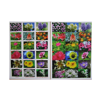 Английское лото "Цветы - травы" - «globural.ru» - Воркута