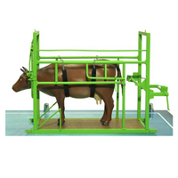 Наглядный макет «Методы и устройства для фиксации КРС» - «globural.ru» - Воркута