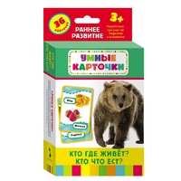 Карточки Домана "Кто где живет, кто что ест" - «globural.ru» - Воркута