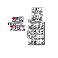 Модель-аппликация "Неполное доминирование и взаимодействие генов" (ламинированная) - «globural.ru» - Воркута