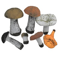 Набор муляжей грибов 7 штук - «globural.ru» - Воркута