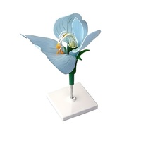 Модель цветка гороха - «globural.ru» - Воркута