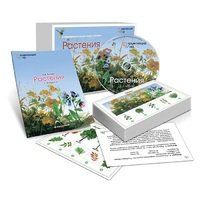 Комбинированное наглядное пособие «Растения» - «globural.ru» - Воркута