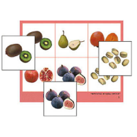 Лото "Фрукты, ягоды, орехи" (4 планшета, 24 карточки, цветное, ламинированное) - «globural.ru» - Воркута