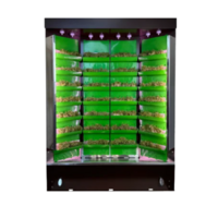 Вертикальная ферма "Моя Микрозелень" комплектация "Театро настольная" - «globural.ru» - Воркута