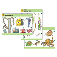 Комплект таблиц по биологии демонстрационный "Зоология 1" (14 таблиц, формат А1, лам.) - «globural.ru» - Воркута