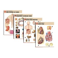 Комплект таблиц по биологии демонстрационный "Человек и его здоровье 1" (20 таблиц, формат А1, лам.) - «globural.ru» - Воркута