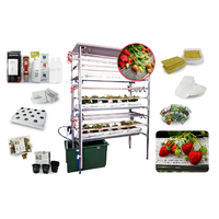 Гидропонная установка "Клубничная ферма" - «globural.ru» - Воркута